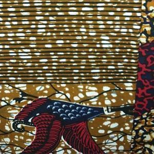 DAF-LAPÁ-0032