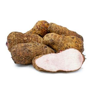 SIL-MALANGA