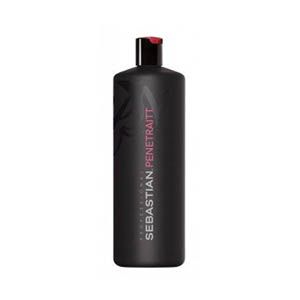 EVOY-sebastian penetraitt-shampoo 250ml