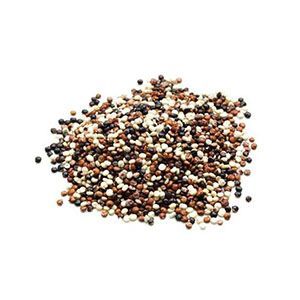 MHS-Quinoa Tricolor Convencional