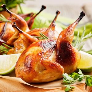 Pollo y Aves